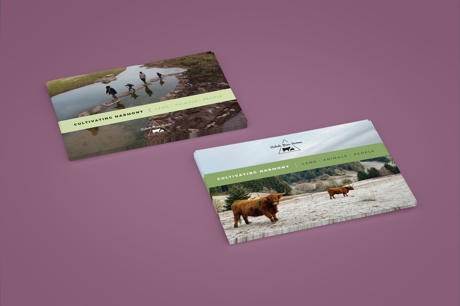 2 leave behind cards one showcasing the water ponds and the other the Scottish highland cattle